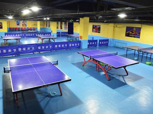 室内兵乓球台案例